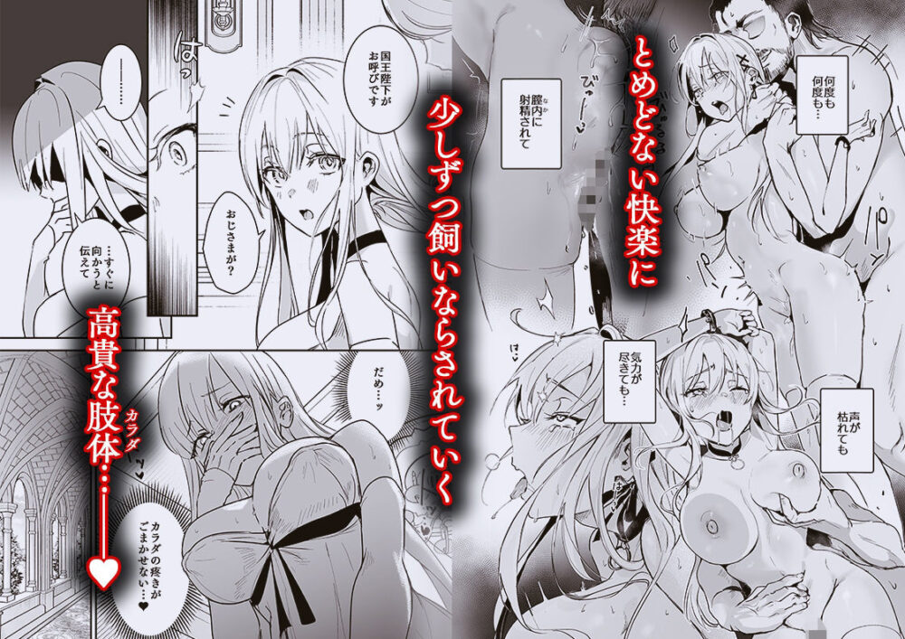 王女陥落2【吉田killy】wnacg・rawやHitomiで無料で読める？